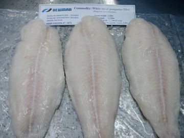 おいしいバルク凍らせていた魚によって凍らせているPangasius/ベトナムからのBasaの魚は肉付けします