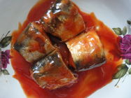 純粋なサバはトマト ソース/塩水/オイルの優秀で良い好みの魚を缶詰にしました
