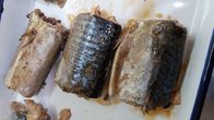EUは塩水の高い中心健康なオメガ- 3つの脂肪酸のサバによって缶詰にされた魚を証明しました