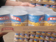 非中国人のGMOによって缶詰にされるスイート コーンの穀粒185gの収縮の覆いのパッケージ