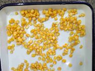 FDA GMOの耕作425gはスイート コーンの穀粒を缶詰にした