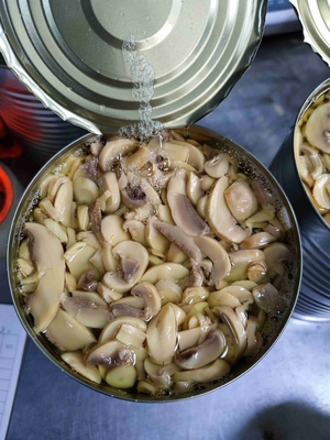 元の味によって缶詰にされるシャンピニオンのきのこは陸上格納PH 4.5-6.5を冷却したり及び