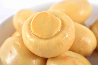 新しい穀物によって缶詰にされる全きのこは塩水の保存プロセスのAを等級別にします