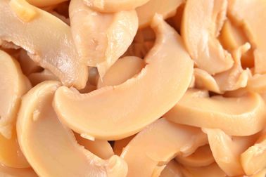 栄養価が高い缶詰にされたシャンピニオンのきのこ/全缶詰にされたきのこの塩辛い味
