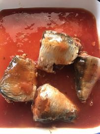 堅く詰められた最も健康な缶詰にされた魚、トマト ソースの錫メッキされたサーディン