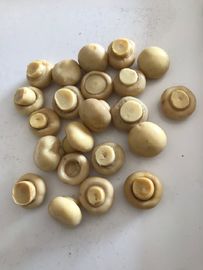 190gは全Cultivateaの共通のきのこを缶詰にし、/継ぎ合わさり、そして止めます