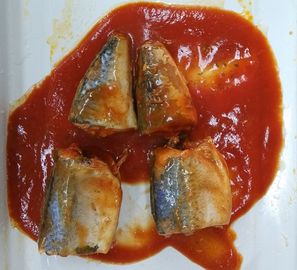 柔らかい好みのサバはトマト ソースの魚/錫メッキされたサバを不純物缶詰にしませんでした