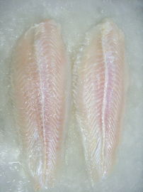 おいしいバルク凍らせていた魚によって凍らせているPangasius/ベトナムからのBasaの魚は肉付けします