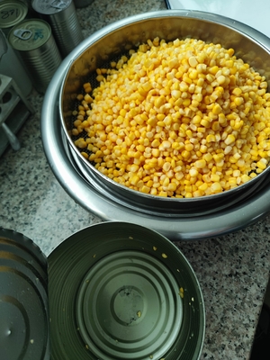 輸送用包装用の甘い缶詰のトウモロコシの全粒子