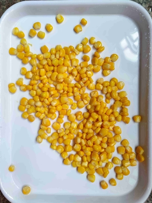 美味しい栽培タイプ 輸出用非遺伝子組み換え菓子缶詰