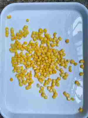 すぐに食べられるスイートコーンの缶詰。どんな料理にも最適。