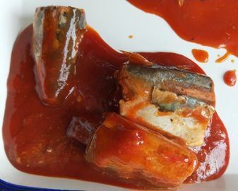 トマト ソースの缶詰にされた太平洋のサバ