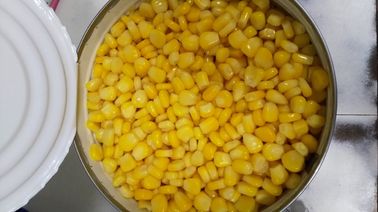 6/A10大きい錫によって缶詰にされるスイート コーン2840g