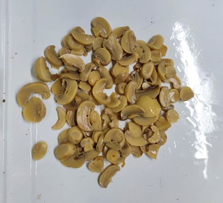 缶詰食品のシャンピニオンはインスタントの新しく及びおいしい急速に広まる