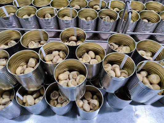 400g / 425gは全きのこによって缶詰にされた中国のきのこを缶詰にした