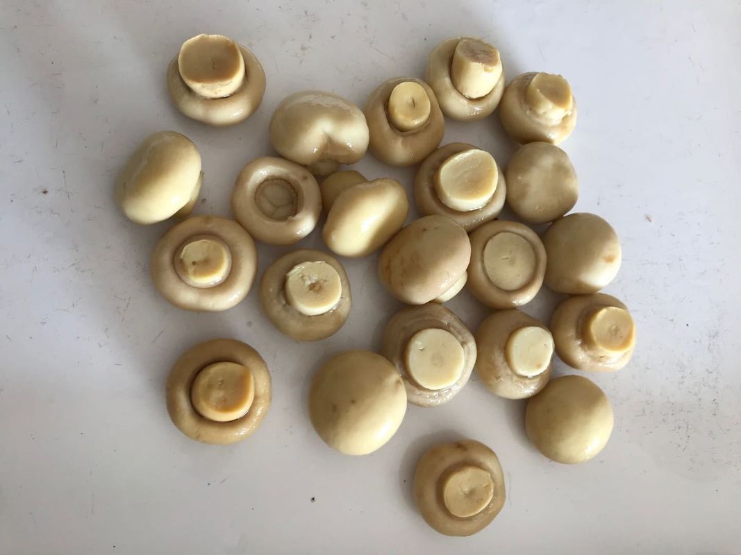 食品業界向け、純粋な天然風味入り缶詰マッシュルーム（シャンピニオンマッシュルームスタイル）