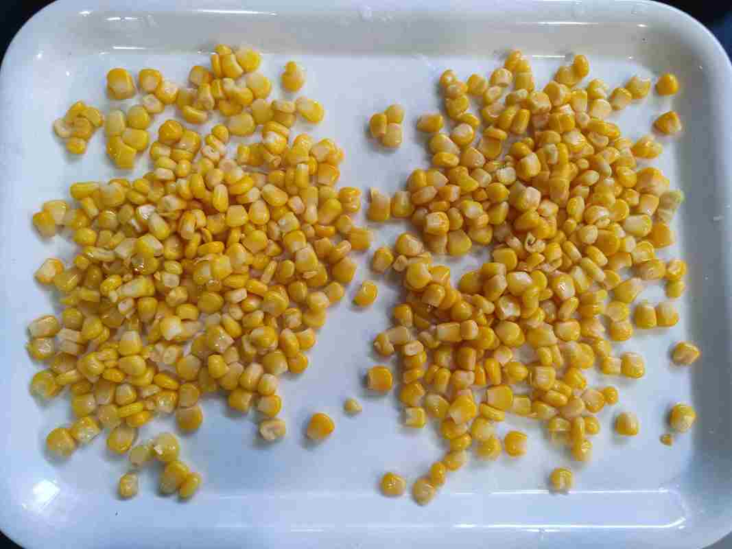 新鮮トウモロコシ 缶詰 果物とキノコのための甘いトウモロコシ