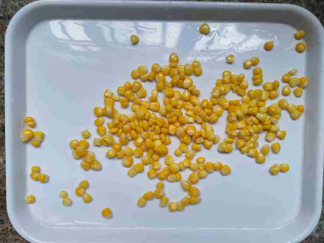 Commercial Sterility Canned Sweet Corn for Natural Color and Processing