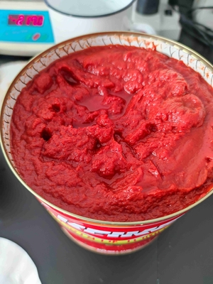 効用期限 2年 缶詰のトマトペースト ボストウィック 5.0--9.0cm/30sec