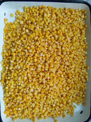 排水重量 1800 G 缶詰 甘いトウモロコシ ハード オープン 蓋 缶詰 トウモロコシのコーン レストランや食品加工に適しています